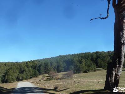 Calzada Romana - Fuenfría; sierra de madrid senderismo viajes abril rutas por la sierra rutas madri